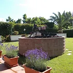 Aurora Wellness & Albenga